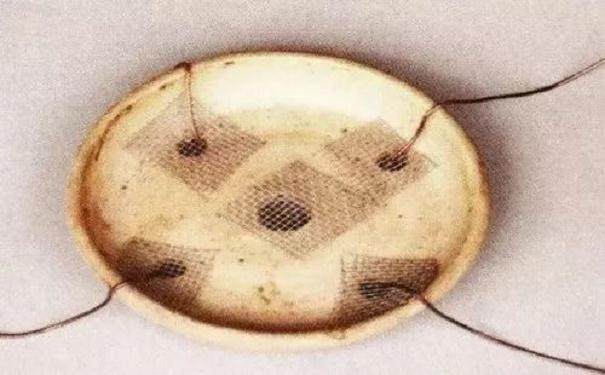 图解 怎么制作半附石盆景的8个步骤