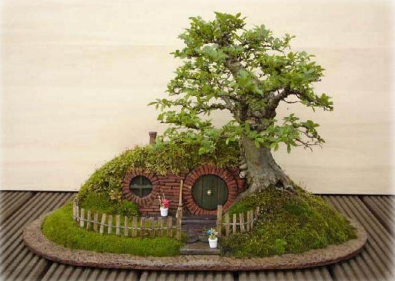 美国盆景的造型风格