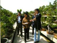 在万达集团领导的陪同下参观了中国唐苑盆景园
