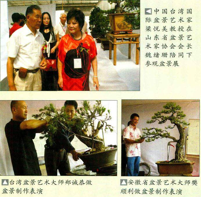 中国唐风盆景展预备会在西安宾馆隆重举行