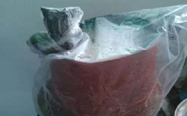 图解 金弹子附石老桩盆景套袋发芽的方法