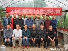 2018逸园李伟盆景丝雕培训班下半年开班