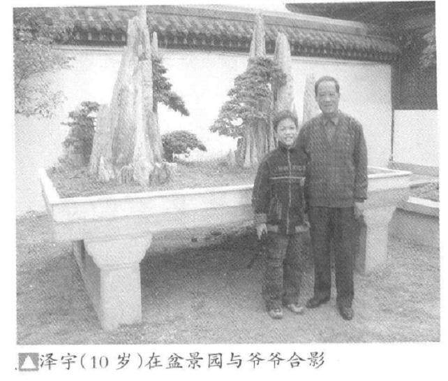 盆景是爷爷的最爱