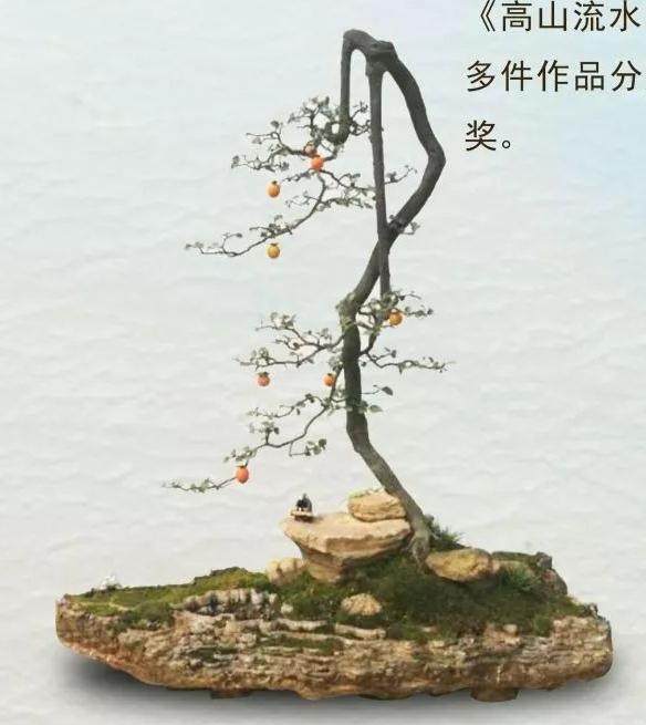 重庆市花卉盆景协会“初级技能培训”开班啦