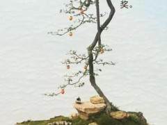 重庆市花卉盆景协会初级技能培训开班啦