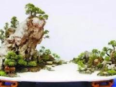 山水盆景怎么造型的3个技艺 图片