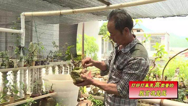 田永存依托栽盆景撑起致富梦