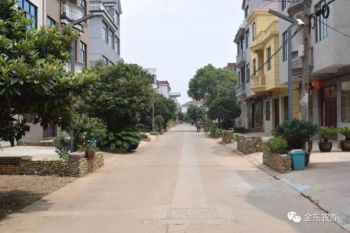 &ldquo;盆景长廊&rdquo;风景线| 雅里村