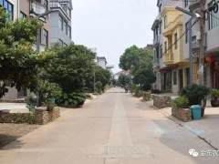 盆景长廊风景线 雅里村