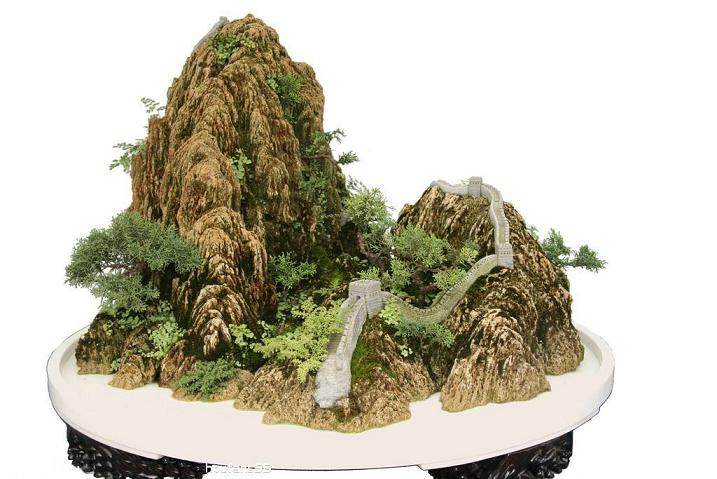 什么是山鸟盆景?