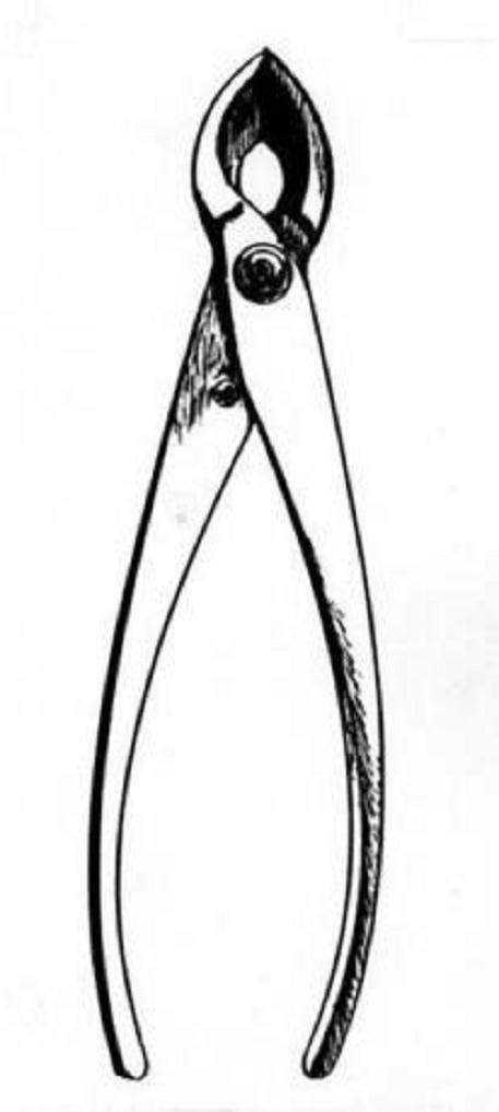 盆景铲子 越来越受欢迎 特别是对于山鸟收藏家