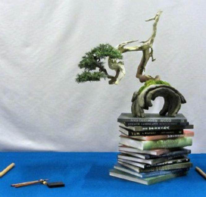 这是一些独特风格的盆景作品