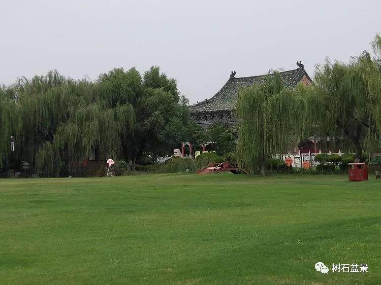 中日韩盆景交流展筹备会议在开封铁塔公园召开