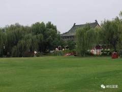 中日韩盆景交流展筹备会议在开封铁塔公园召开