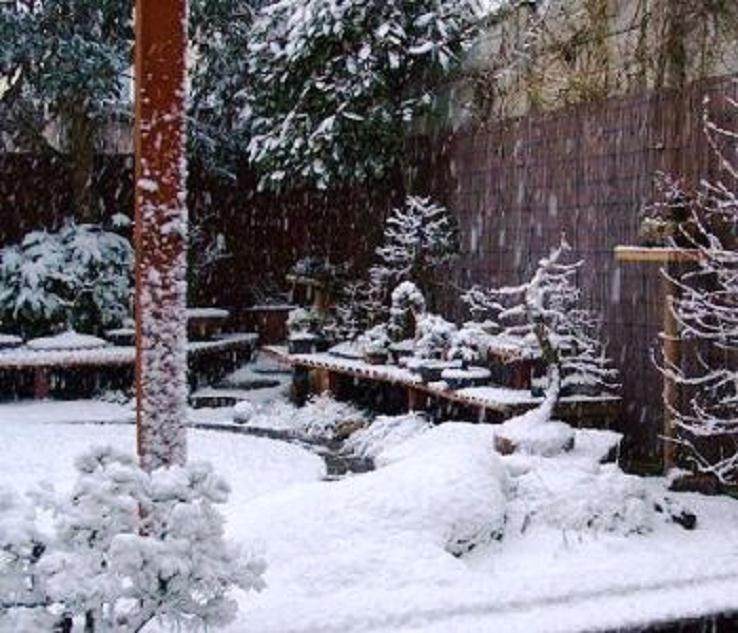 如何做好冬季盆景的养护工作?