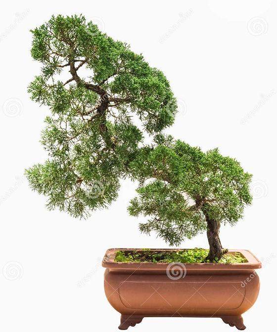 九三学社苏州市委呼吁 警惕农业科技示范盆景化