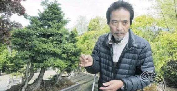 盆景贼偷走33万元珍品 盆景大师一个月被盗6次