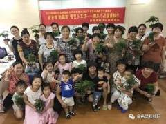 园艺小工坊-案头小品盆景制作