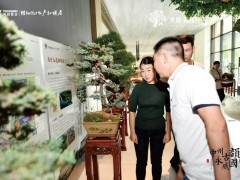 中州古韵 永威国风主题盆景展圆满落幕