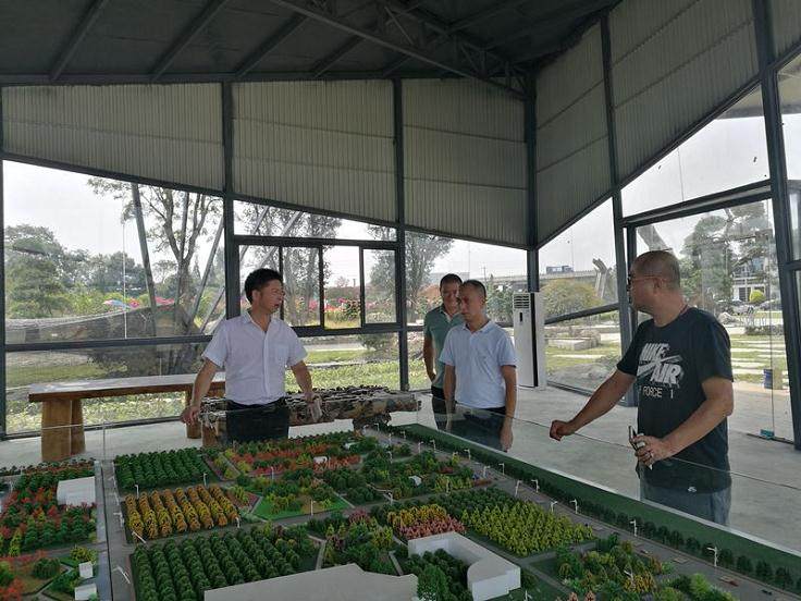  &ldquo;川派盆景&rdquo;发源地助推乡村振兴