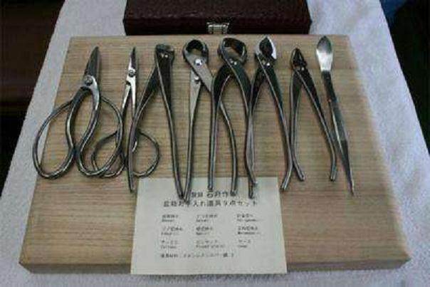 如何使用盆景魔术布的示例