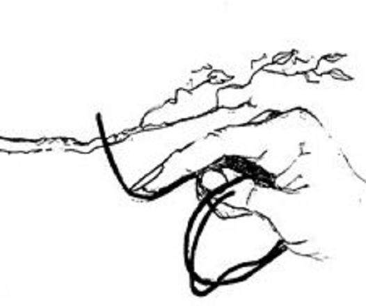 盆景线用于开始培养维护以及更换盆景