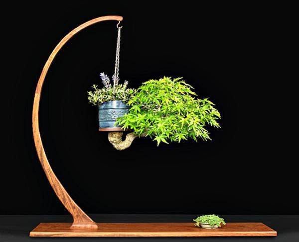 盆景展示桌用于突出树的重要性 就像一个盆子