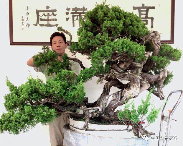 关山是如何炼成大型真柏盆景飞天 的创作?
