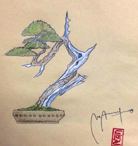 许多盆景人也创造了被认为是更传统的盆景艺术形式