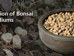 完整的盆景土壤 包括赤玉土 富士山的灌封介质和鹿沼