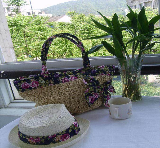 高级盆景入门套件 - 被风吹扫的杜松