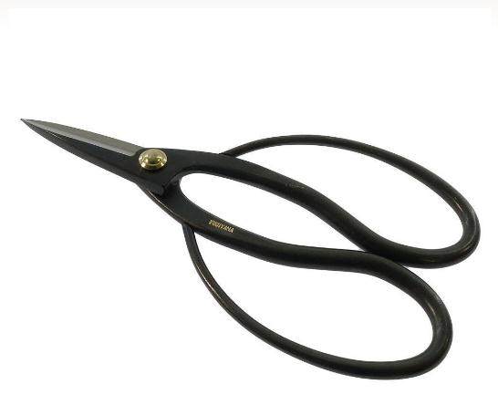 盆景艺术家最重要的工具是一把很好的剪刀