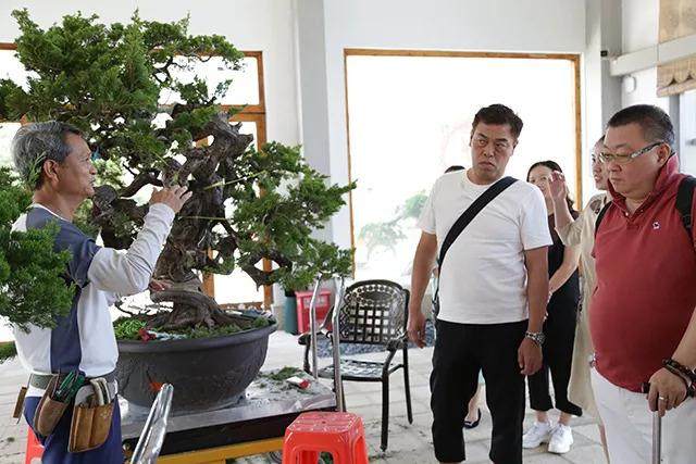 日本青木丰治客人来如皋考察花木盆景与文旅产业