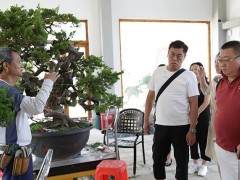 日本青木丰治客人来如皋考察花木盆景与文旅产业