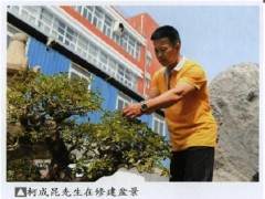 80年代尚存十多盆 可见盆景在厦门深厚的历史传承