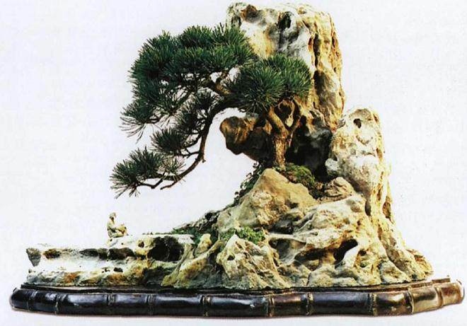树石盆景组合的类型及方法