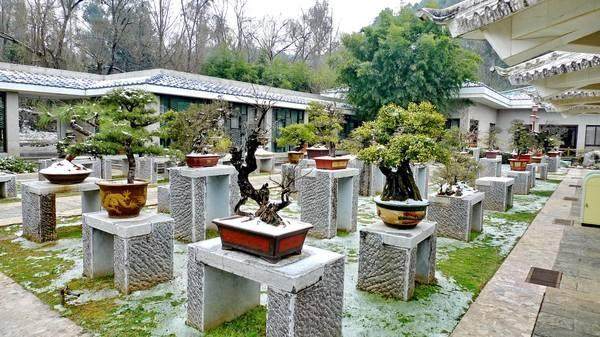 盆景园设计的有哪些难点?