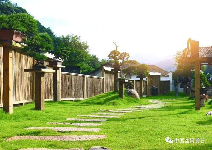 温州益光盆景园会员活动中心授牌仪式