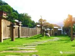 温州益光盆景园会员活动中心授牌仪式