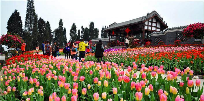 陕西园位于中国花卉博览园花博岛主轴东侧