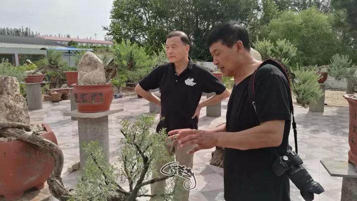 蒙古族的民间盆景工艺大师 - -宝泉