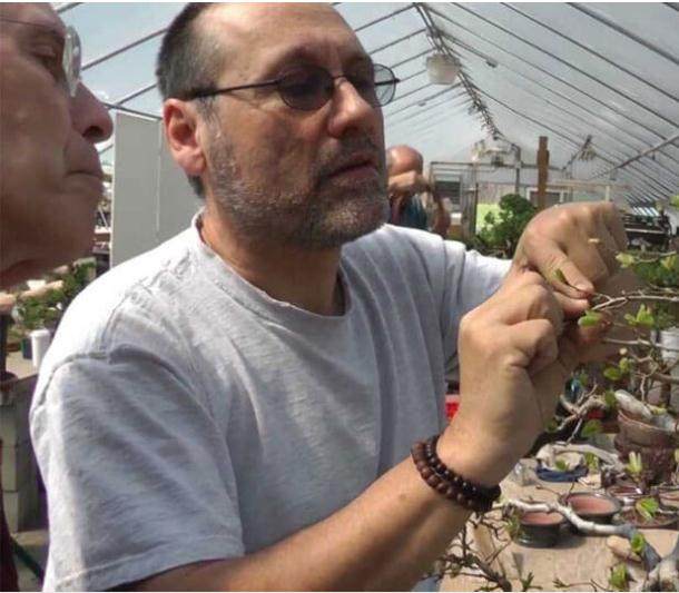 世界着名盆景专家约翰罗马诺在新英格兰盆景花园