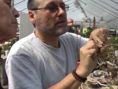 世界着名盆景专家约翰罗马诺在新英格兰盆景花园