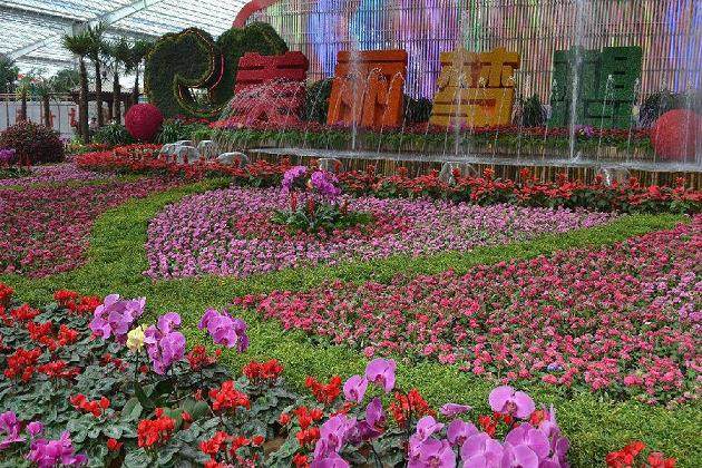 花卉在双十二的访客数较上一周期下滑3.82%