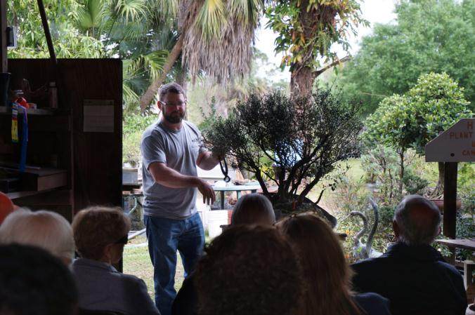 盆景课与艺术形式的成长