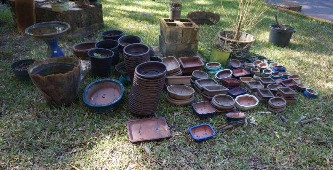 混合盆景土壤 并在盆景盆子中种植500多棵树