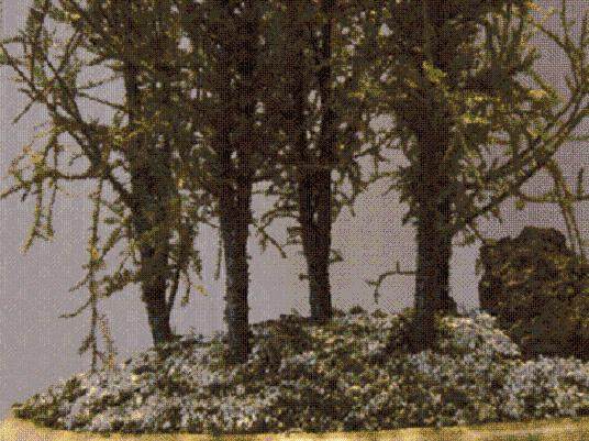 考虑到这两个问题 白松制作了一个精彩的盆景