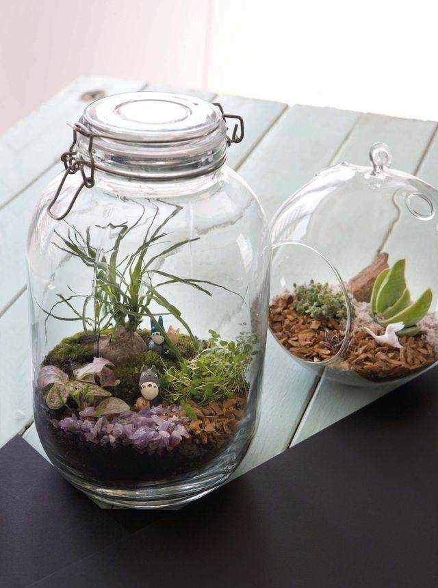 图解 制作玻璃盆景的4个步骤