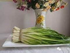 黄韭盆景和盆栽韭菜有什么区别？