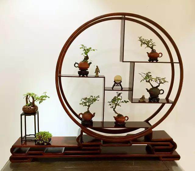 2017年开封“铁塔杯”盆景艺术展